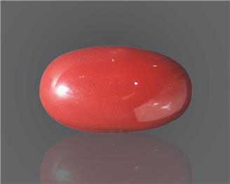 Natural Red Coral (J)  8.4 RTS - 64997